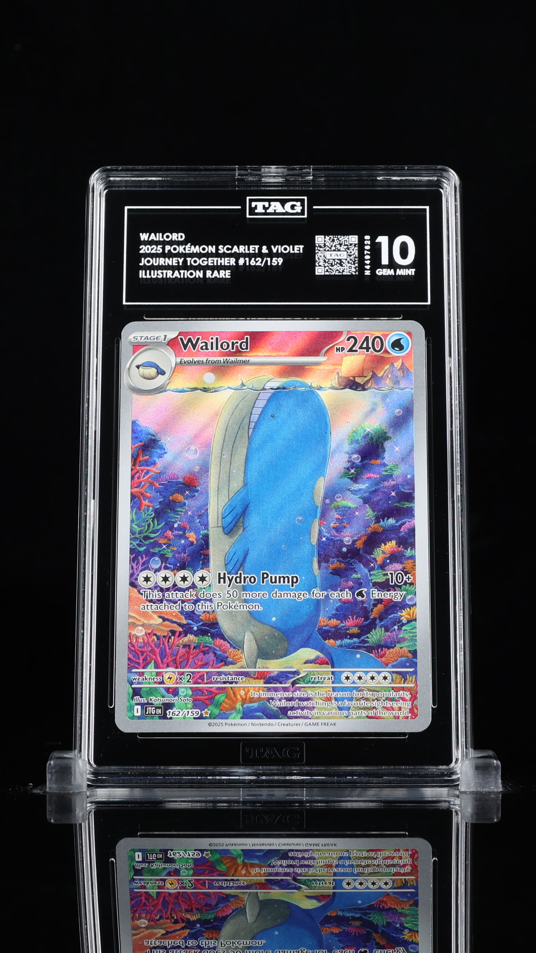 Wailord