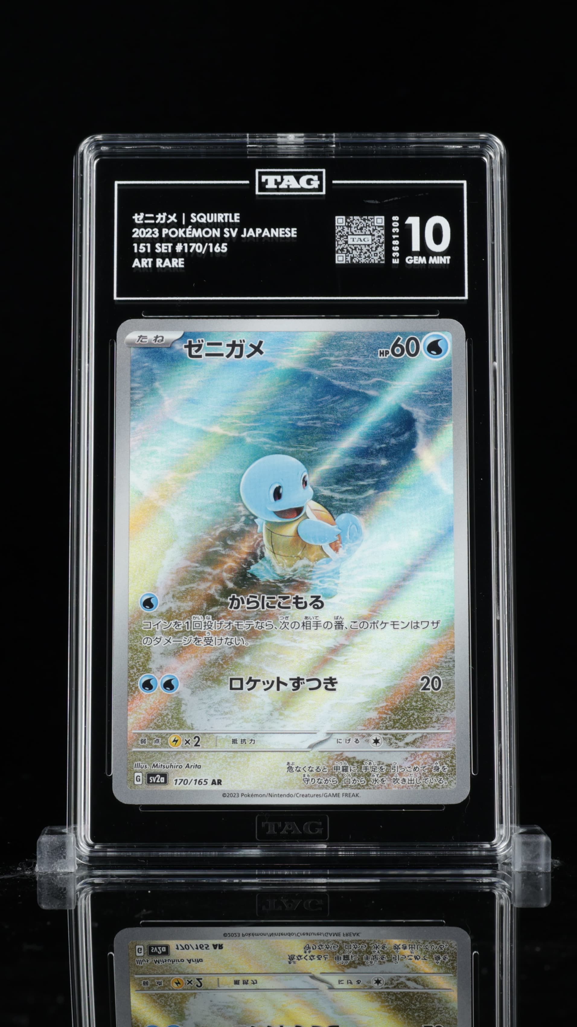 ゼニガメ Squirtle