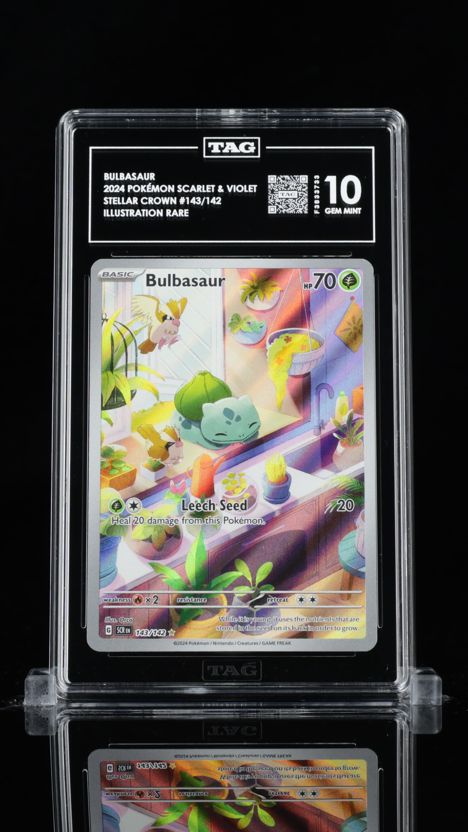 Bulbasaur