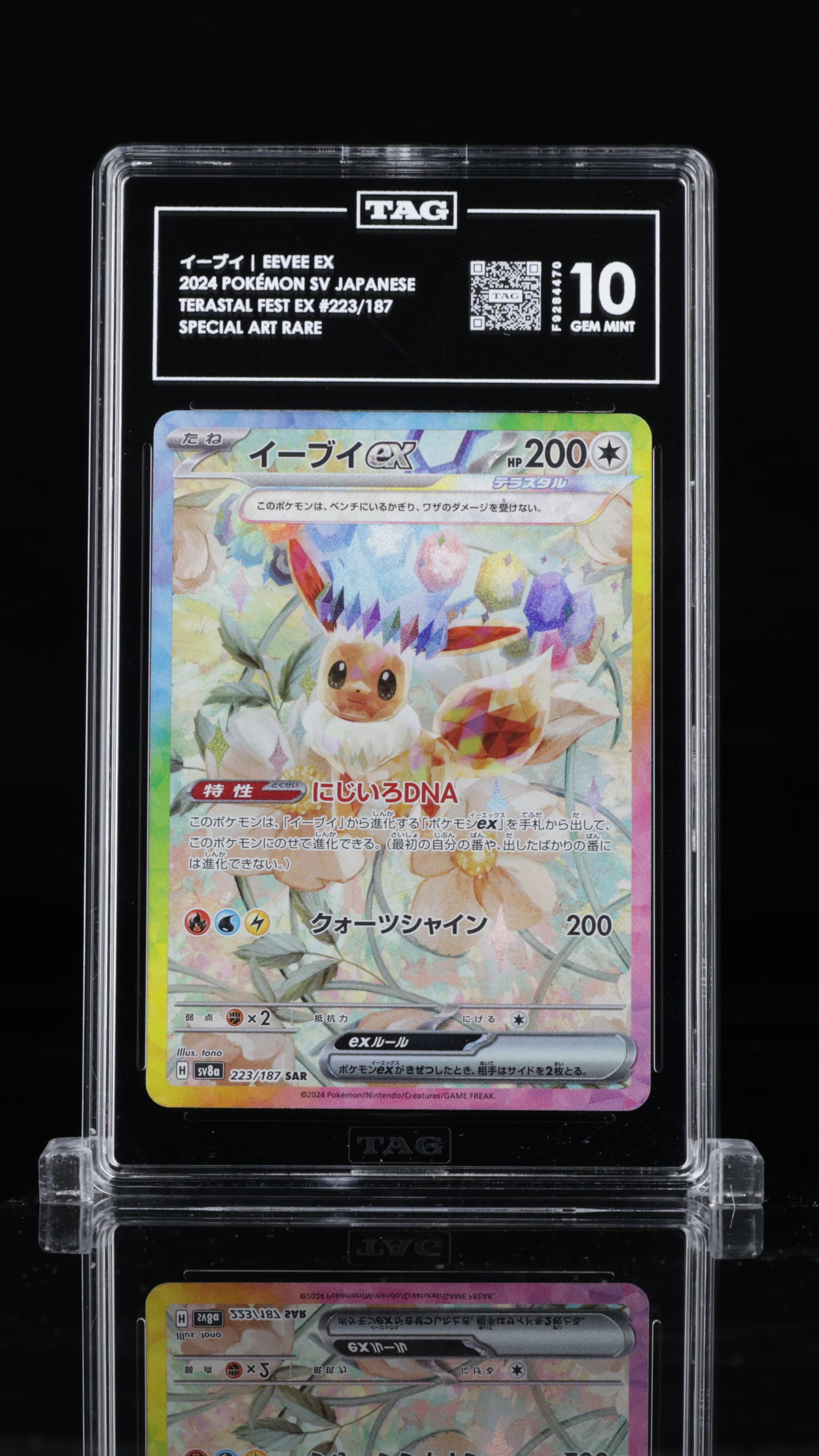 イーブイ Eevee ex