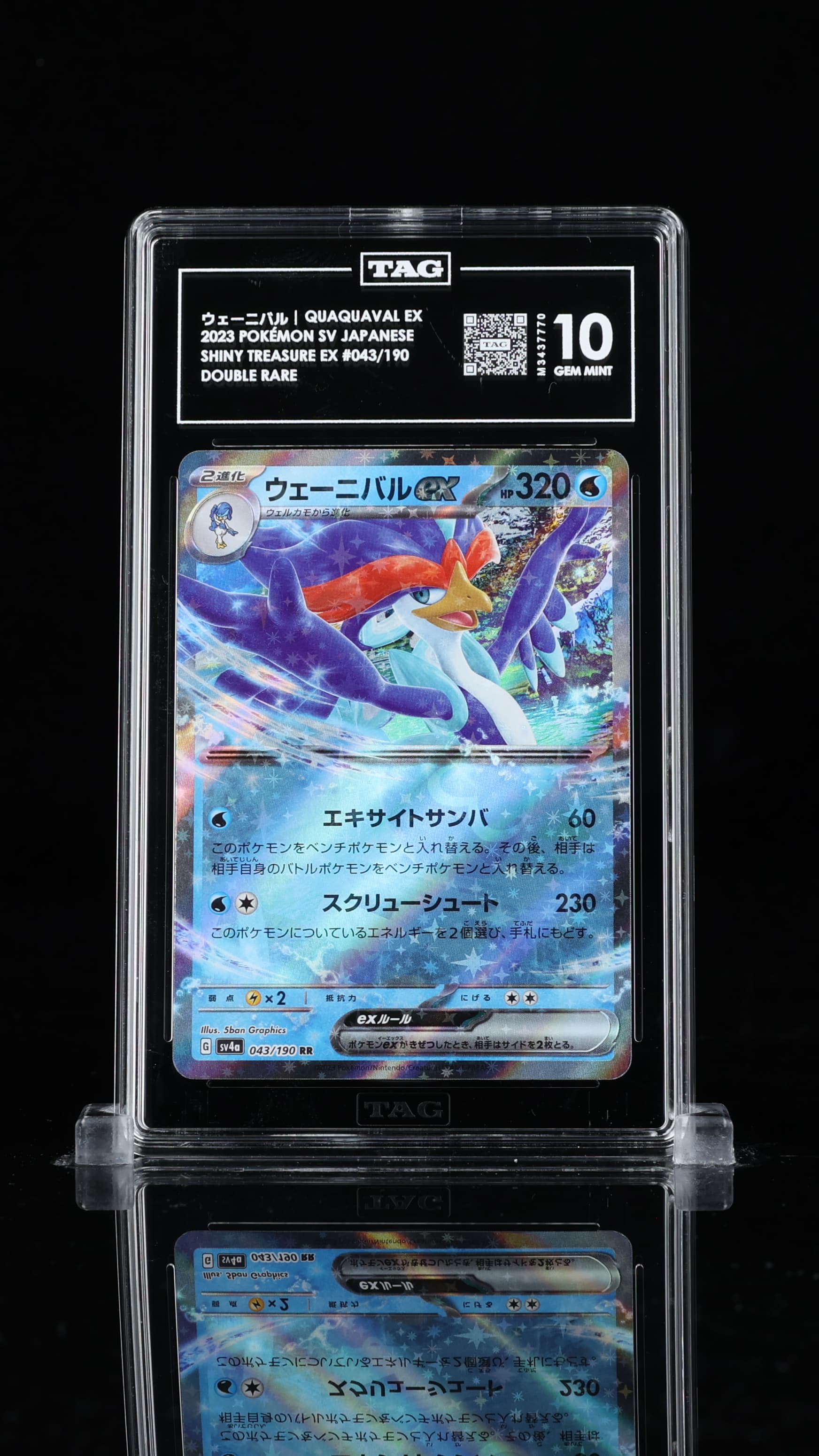 ウェーニバル Quaquaval EX