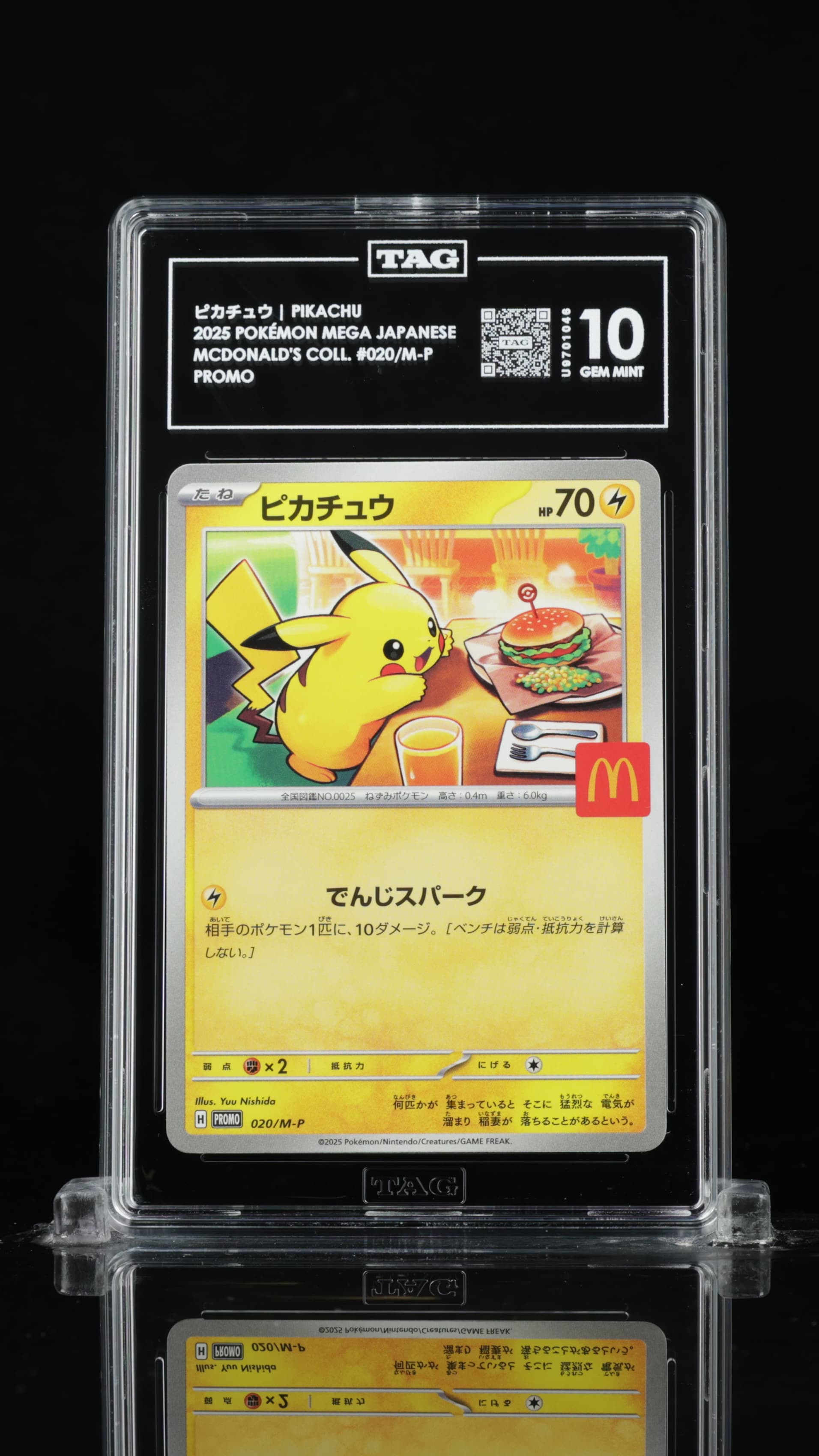ピカチュウ Pikachu