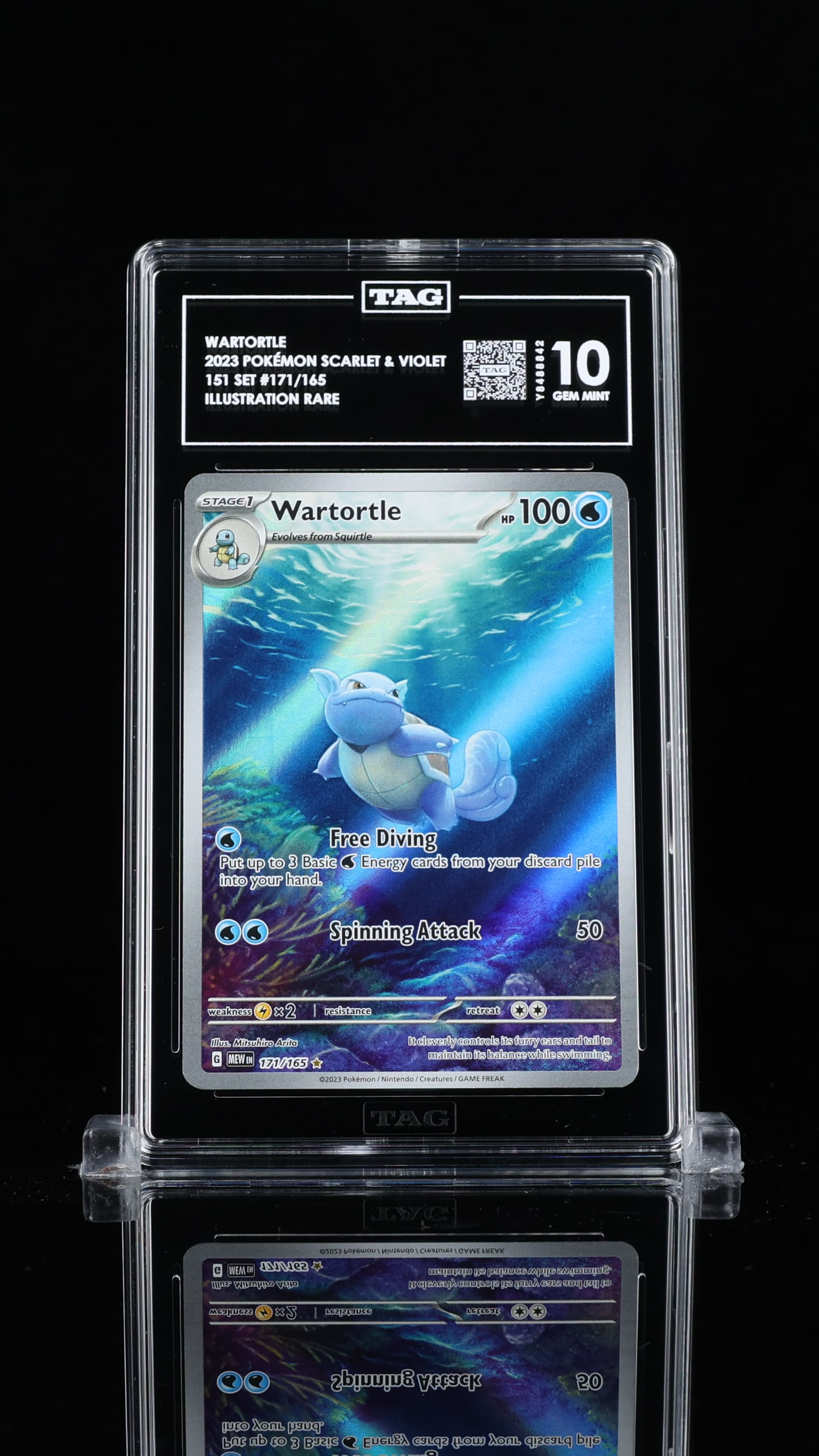 Wartortle