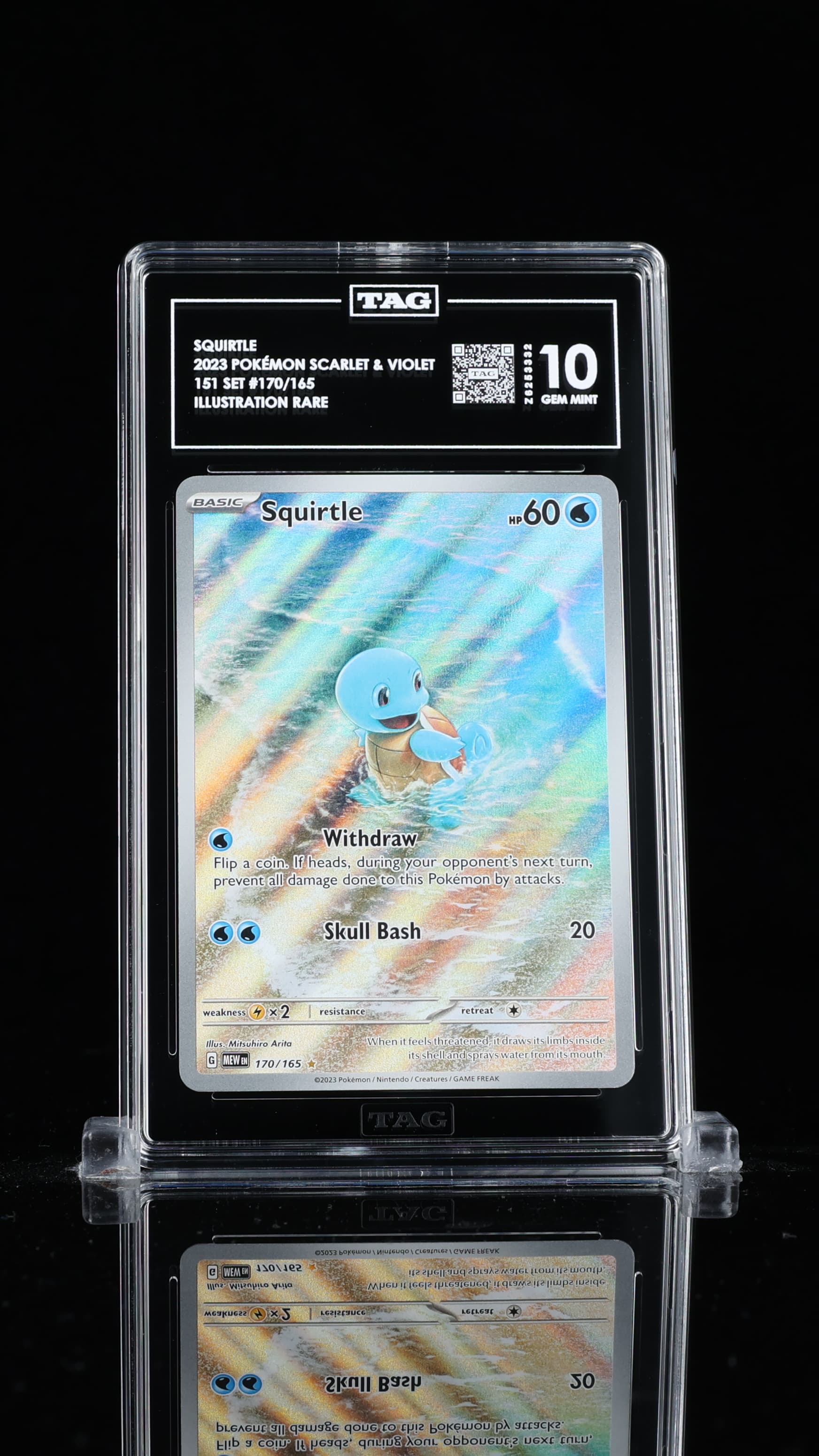 Squirtle